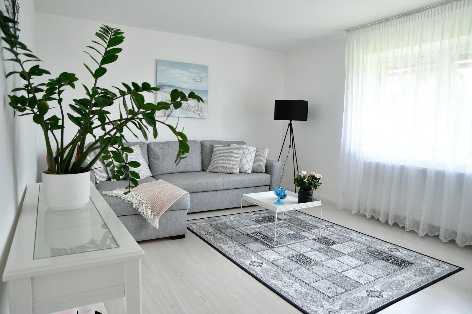 Bright living room with warm white walls, a grey sofa and afternoon light from a large window